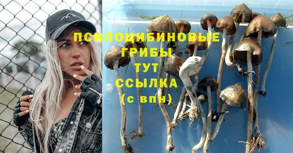 кокаин Ладушкин
