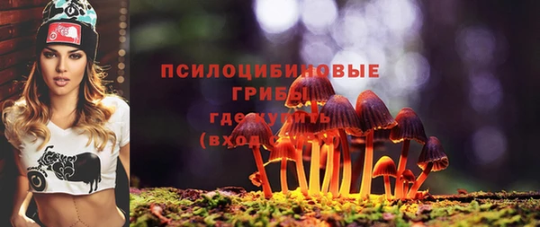 мяу мяу мука Алексеевка