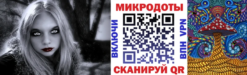 Галлюциногенные грибы Psilocybine cubensis  Абинск 